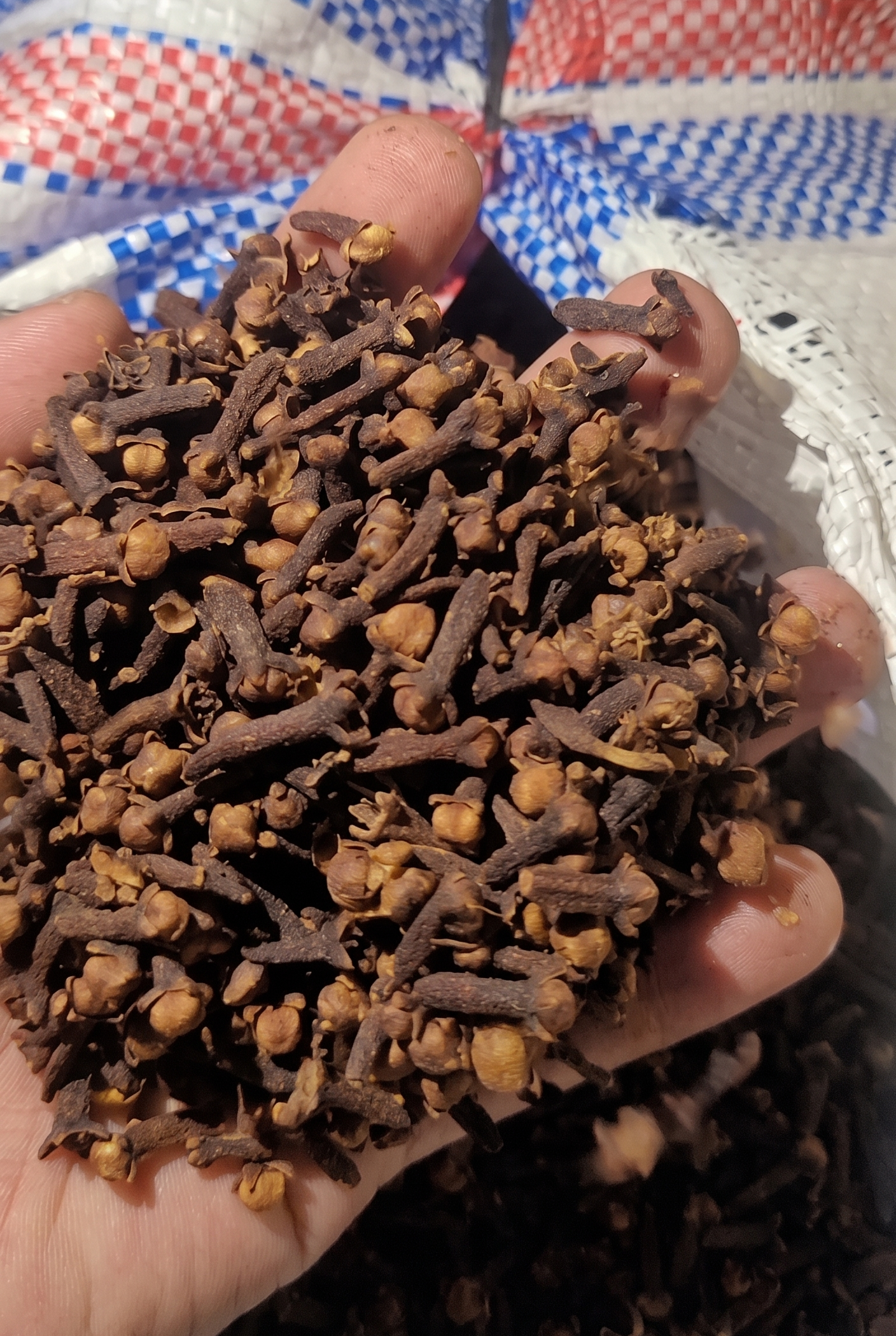 Clove